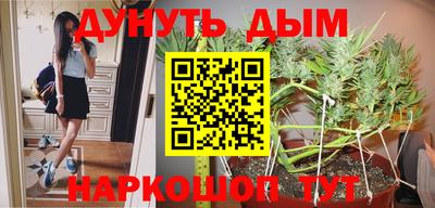 скорость Брянск