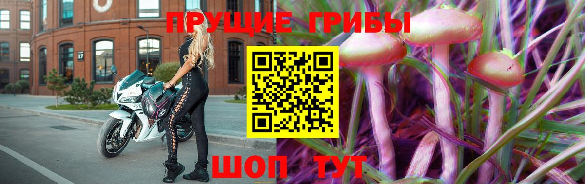 купить наркотик  Вход с VPN  Нижнеудинск  Псилоцибиновые грибы GOLDEN TEACHER  Псилоцибиновые грибы мухоморы 